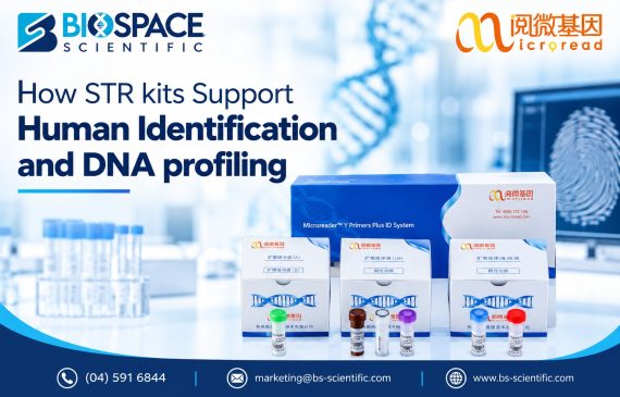 How STR Kits Support Human Identification and DNA Profiling